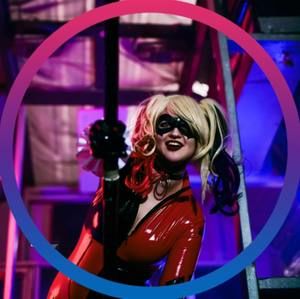 Meet your Posher, Harley Quinn!